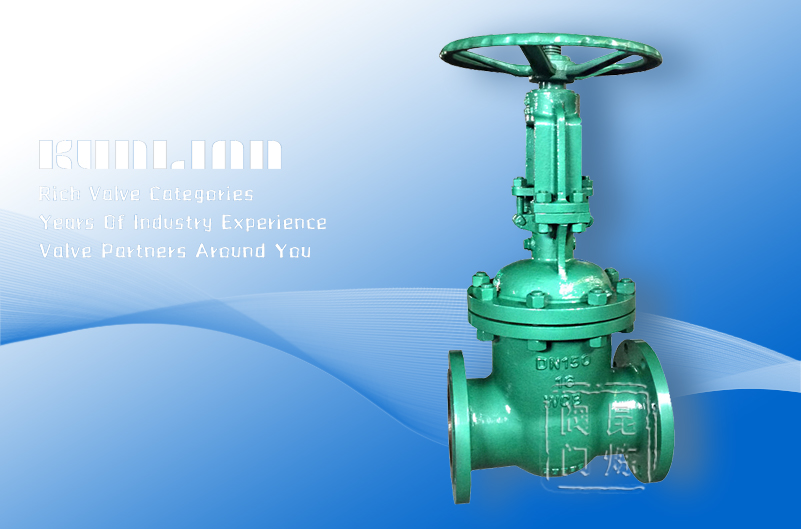 DSZ41Hˮ���l�y