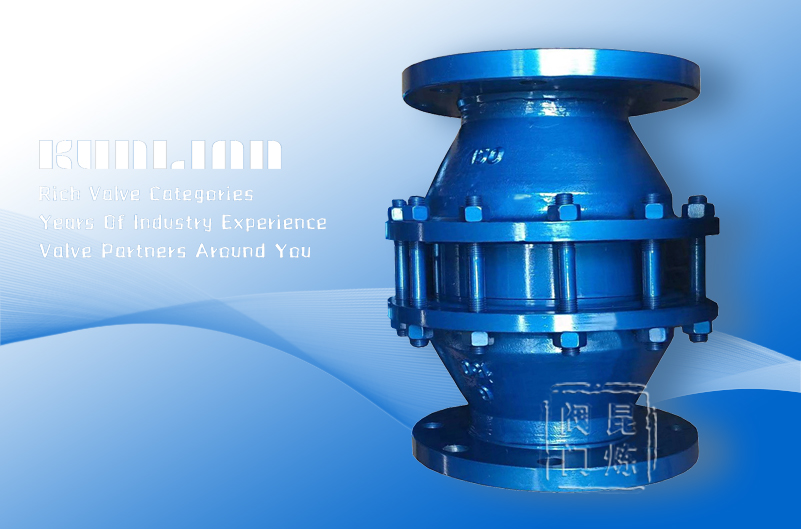 FWL-1�ܵ������