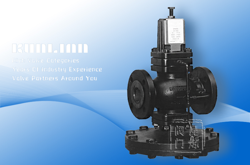 25P�Ȍ���Ĥʽ�����p���y