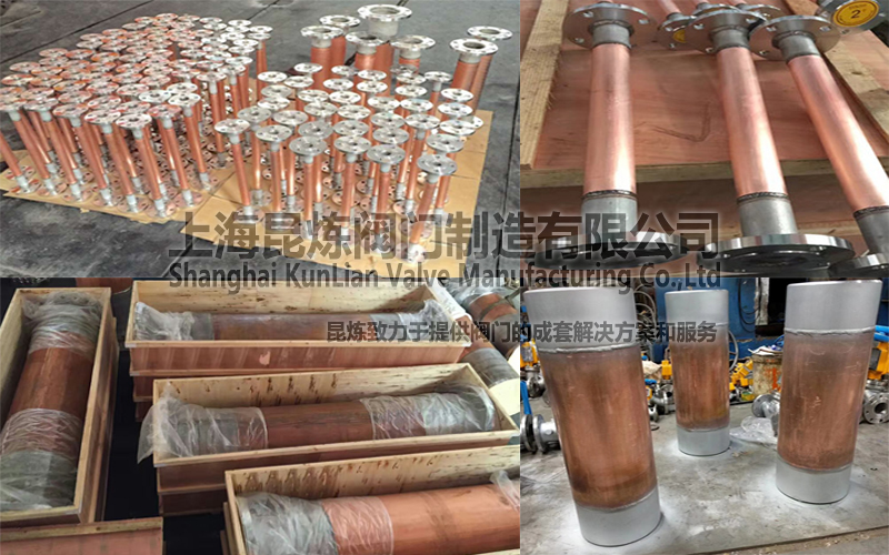 FP��FPV-XT�yǰ�y������������DƬ- �Ϻ������y�T�������޹�˾