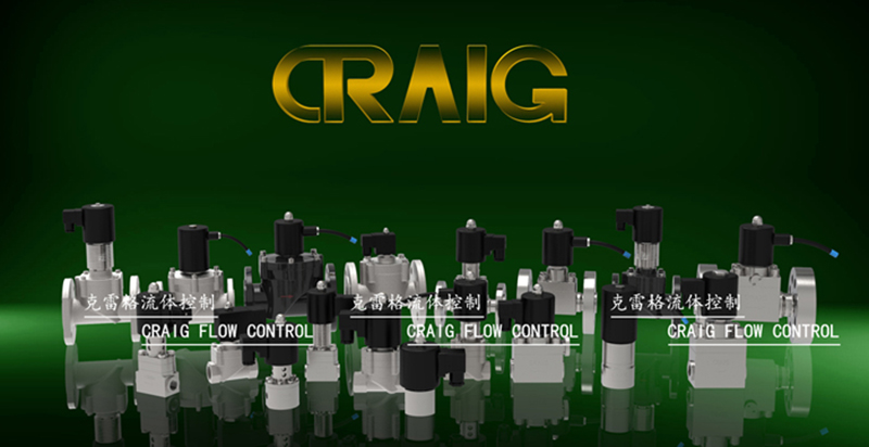CRAIG�Ȍ�(d��o)ʽ늴��y