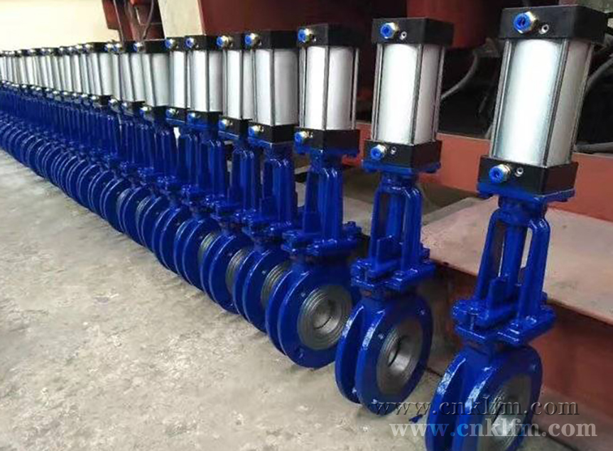 ��ӵ����l�y- �Ϻ������y�T�������޹�˾